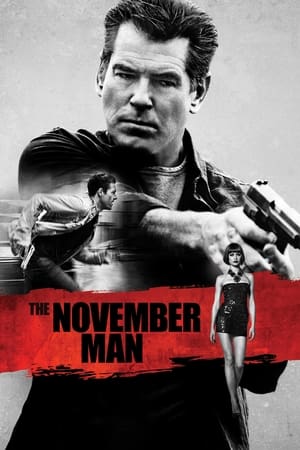 The November Man 2014 Dual Audio [Hindi - English] 350MB - Movierulz