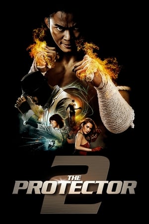 The Protector 2 (2013) 100mb Hindi Dual Audio movie Download - Movierulz