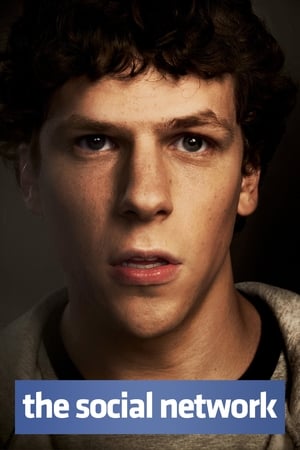 The Social Network 2010 Hindi Dual Audio [800MB] - Movierulz