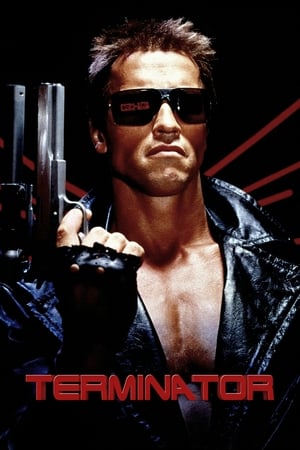 The Terminator (1984) Hindi Dual Audio 380MB - Movierulz