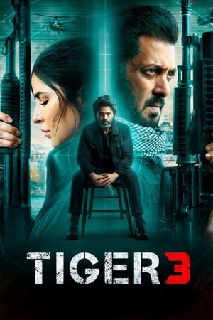 Tiger 3 2023 Hindi (ORG) – - Movierulz