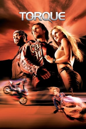 Torque 2004 Hindi Dual Audio [600MB] Download - Movierulz