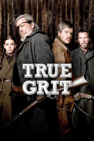 True Grit (2010) Hindi Dual Audio [950MB] - Movierulz
