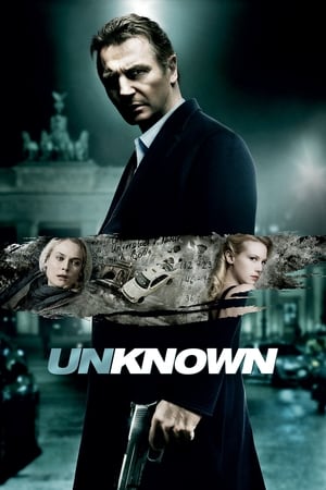 Unknown (2011) Hindi Dual Audio 350MB