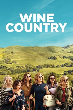 Wine Country (2019) Hindi Dual Audio 350MB - Movierulz