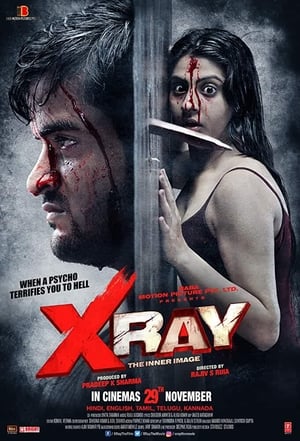 X Ray The Inner Image 2019 Movie - [300MB] - Movierulz